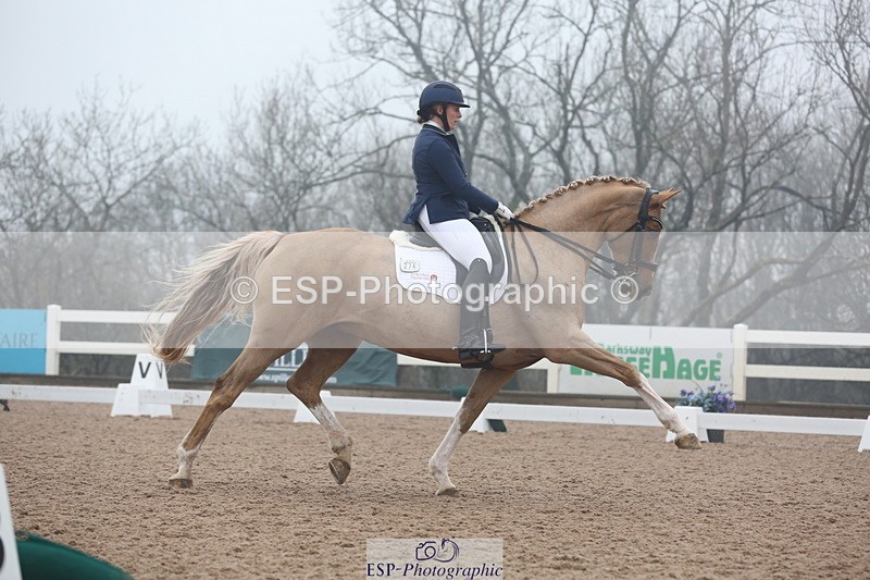 240217A-123256-02902 - 274-Clare.Smith-Dori.Dragon.Fly