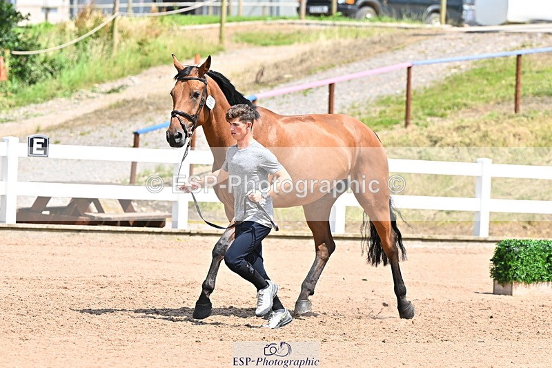 240718A-105310-01649 - Trot Up 1pm to 2pm