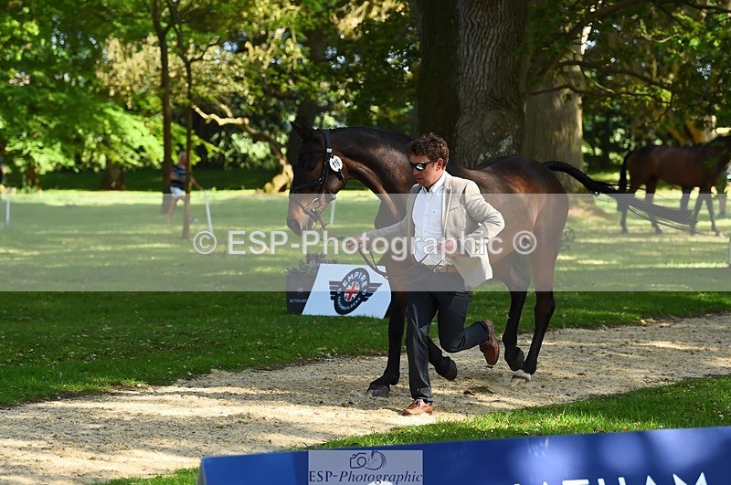 230524-165056-01127 - 119-AUTOGRAF-Simon_Grieve-WEDTrotUp+DR