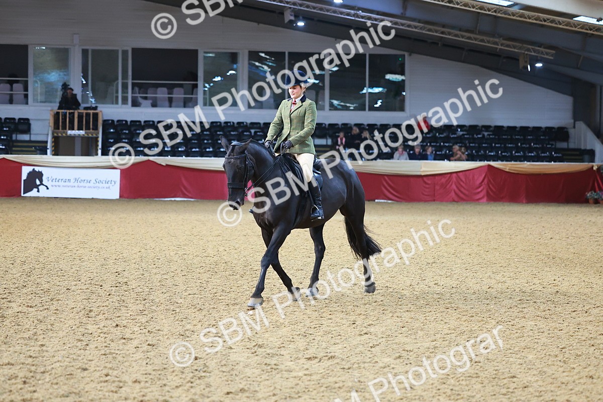 SBM_07682 - Class 101 - HOYS Veteran Qualifier - Ridden Diamond