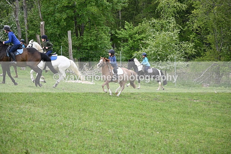 WJ6_3045 - A Camera