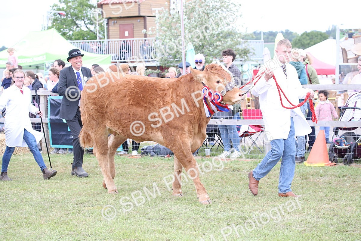 SBM_07845 - Grand Parade