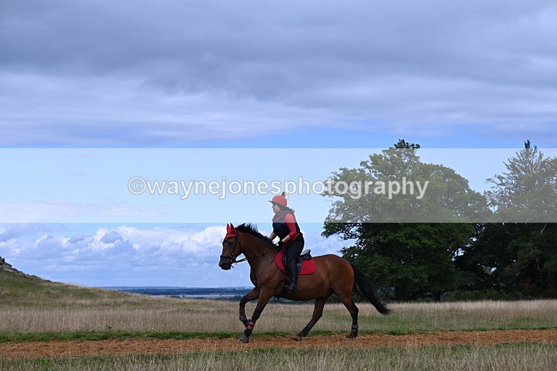 DSC_8875 - Time at Statue 14:33 to 15:10
