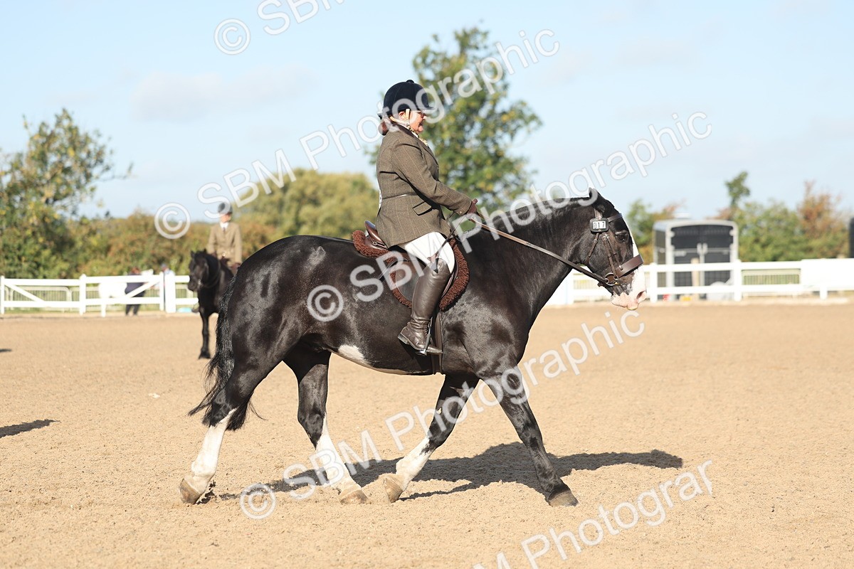 SBM_22187 - Class 802 - Ridden Groom Helpers Class