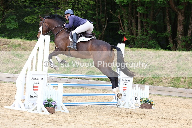 3E7A6242 - Class 4: Senior British Novice/90cm open