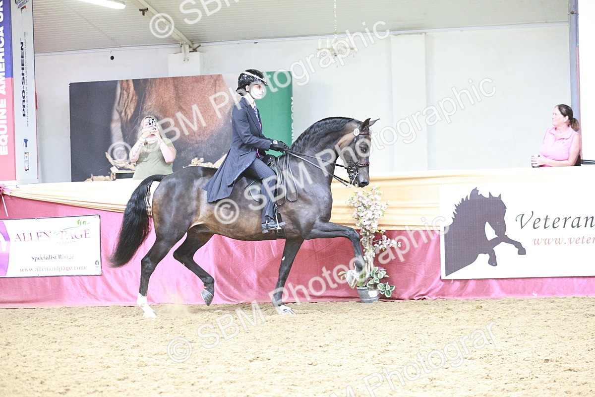 SBM_08809 - Class 12R - Regional Ridden Pre-Vet