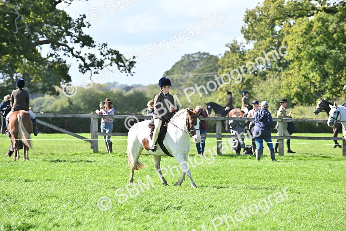 SBM_44566 - S13 - Pony Club Pony