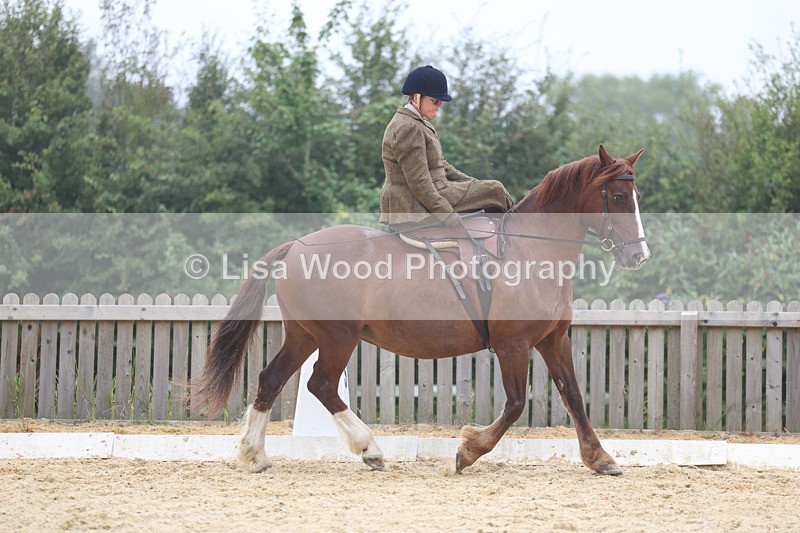 3E7A6857 - Class 5: Prelim to Music