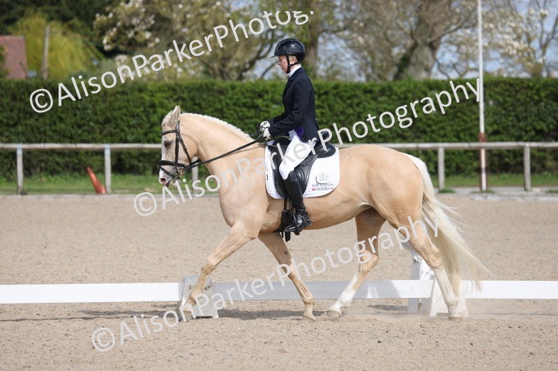 20260405-0311 - Class 4 - Novice 6