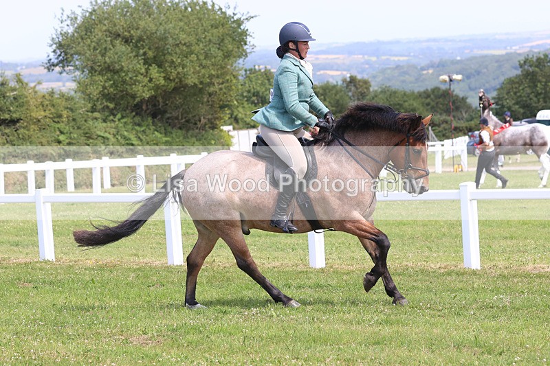 JPP_3237 - Class 22: Working Hunter 70cm