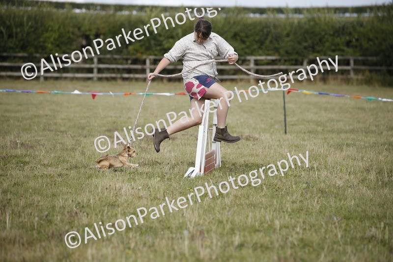 20250831-3874 - Dog Show