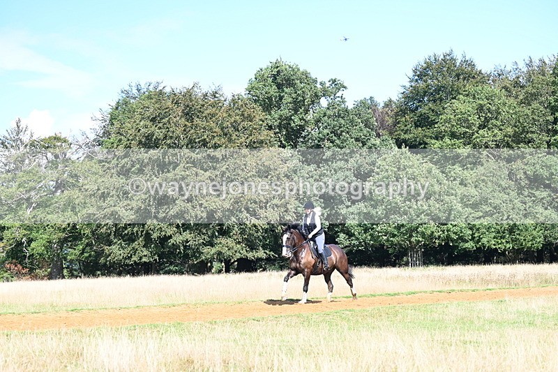 DSC_0162 - Time at Statue 15:58 to 16:05