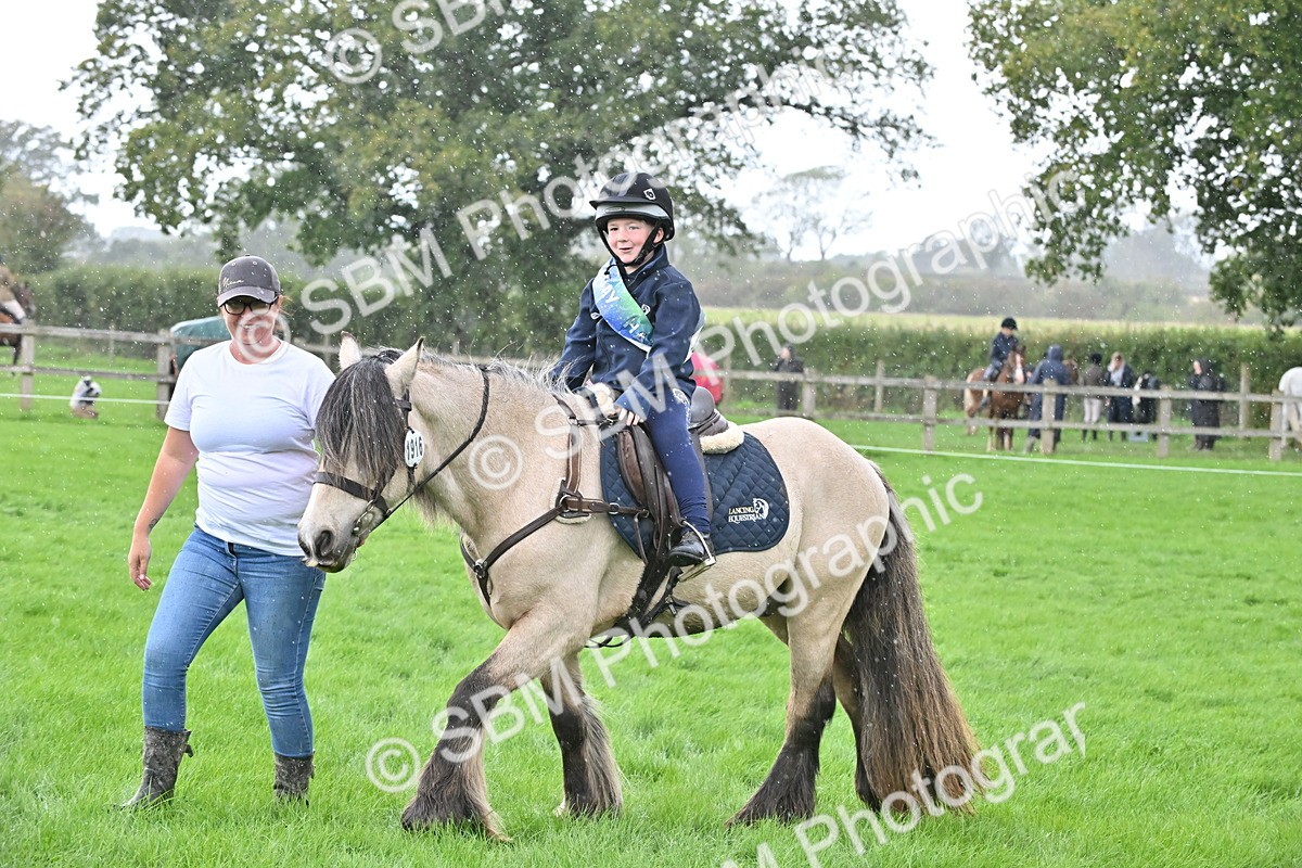 SBM_43009 - S12 - Family Horse & Pony