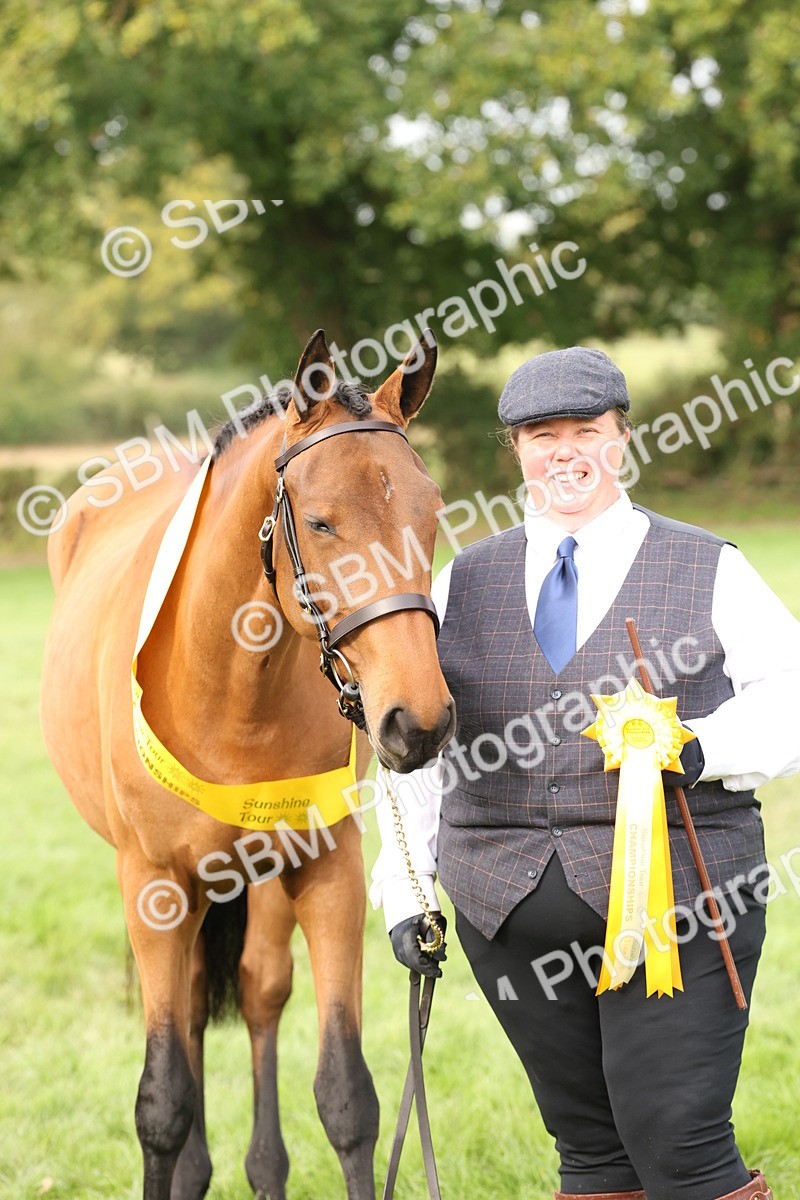 SBM_56280 - S55 - Other Coloured Horse In Hand