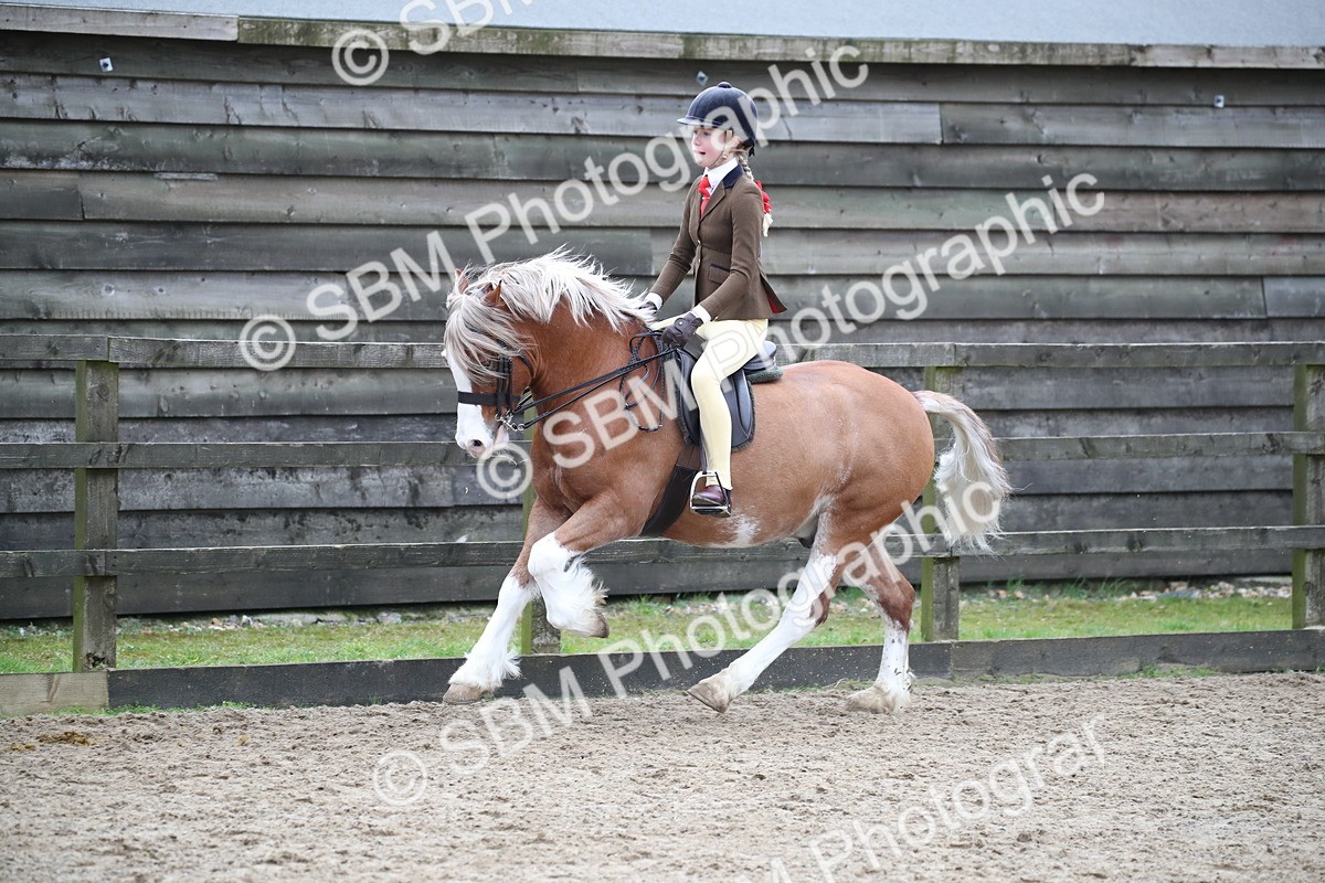 SBM_006160 - Class 10-13 - RIHS Small Large Breeds
