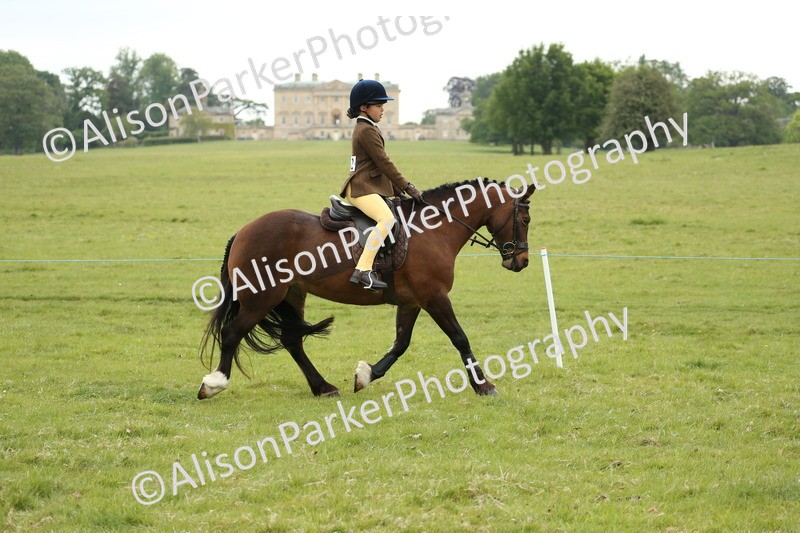 20250517-1044 - Class 21 - Novice Working Hunter