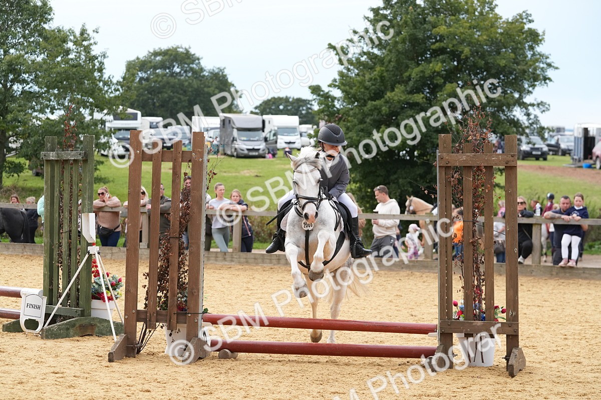 SBM_70644 - J3 - Mini Tour Junior Pony 40cm Championship