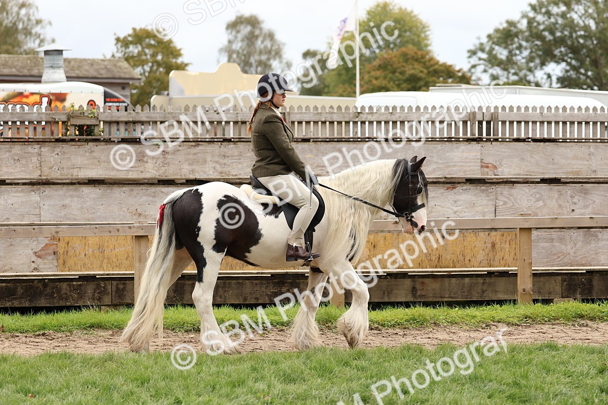 SBM_64362 - S58 - Coloured Pony Ridden
