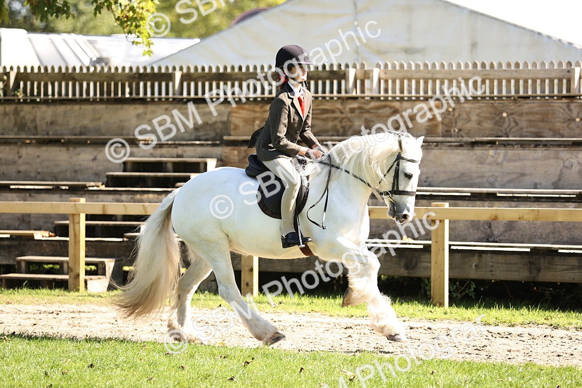 SBM_19331 - S3 - TSR Ridden Pony Showing
