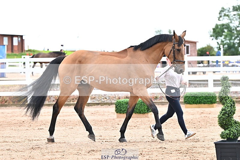 240718A-105327-02025 - Trot Up 2pm to 3pm - This folder is not in time order