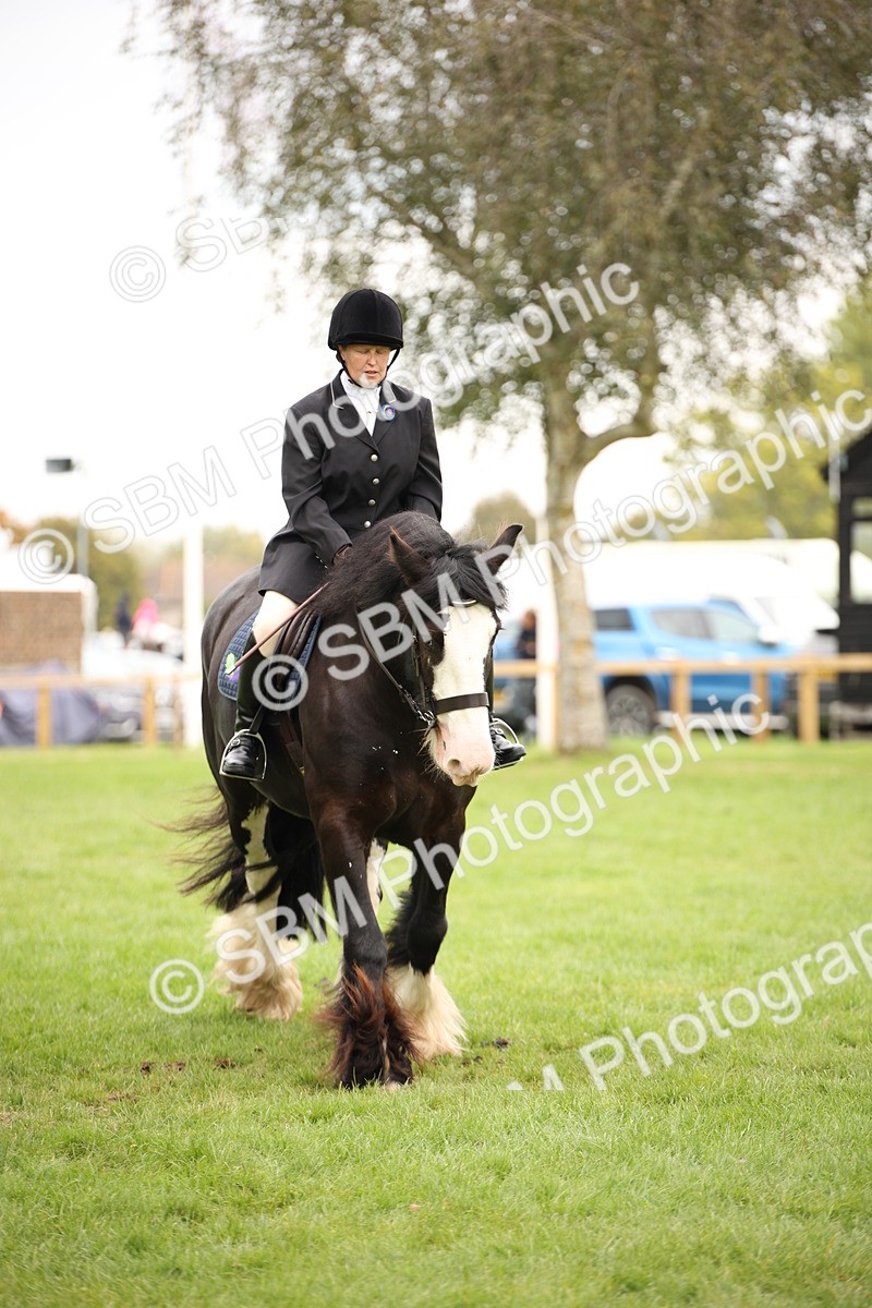 SBM_73491 - S68 - Traditional Cob Ridden