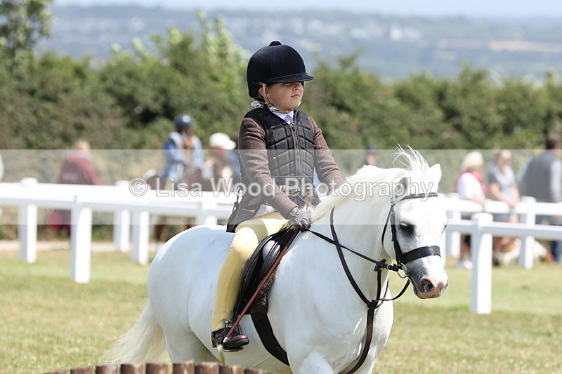 JPP_1827 - Class 18: Tiny Tots Working Hunter Pony