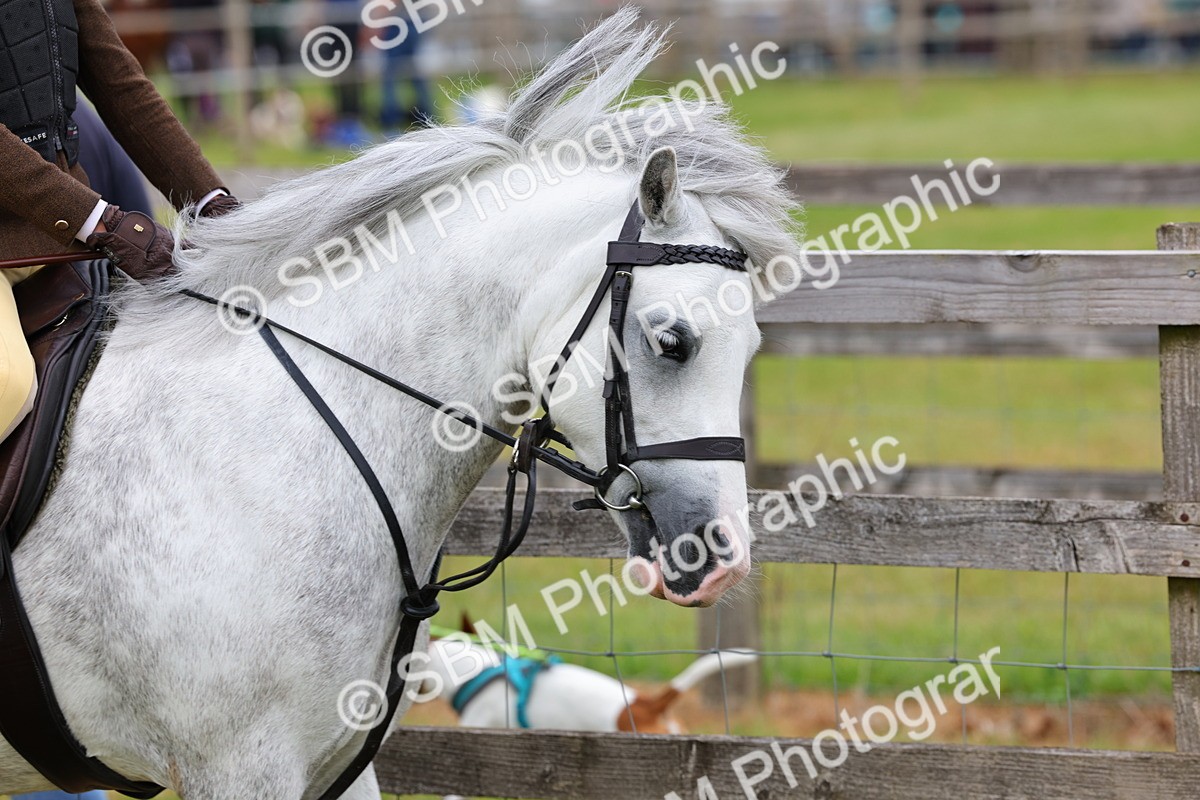 SBM_08460 - Class 42-43 - LIHS BSPS Heritage Working Sports Pony