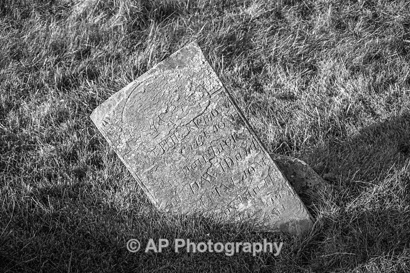 ACP02054-2 - Strata Florida Abbey