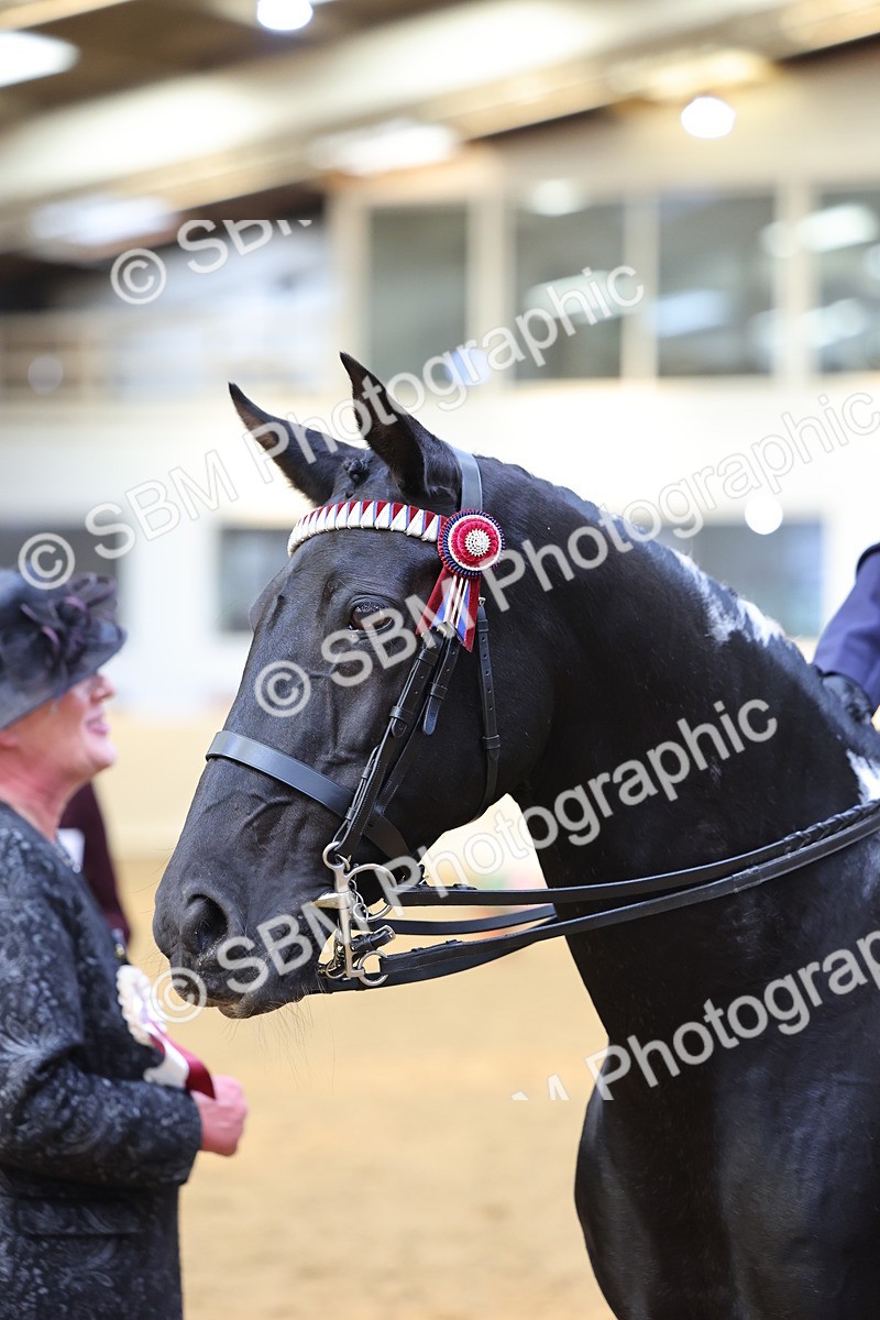 SBM_24602 - Class 906 - Supreme Final - Ridden Pre Vet