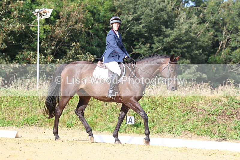 3E7A2155 - Class 1: Intro 4 2024 section A