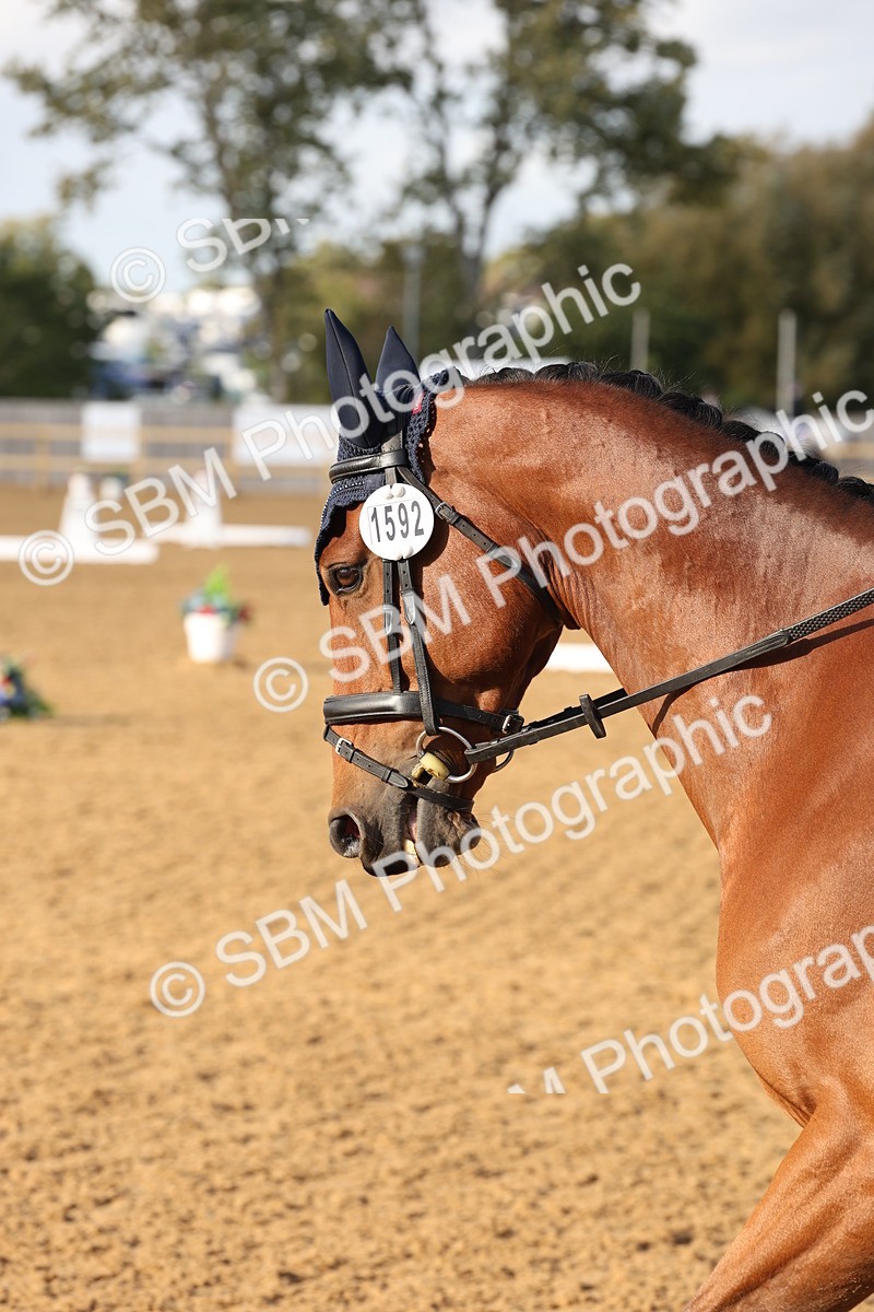 SBM_50537 - D12 - Small Tour Championship prelim 2