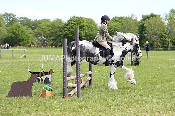 IMG_3154 - Working Hunter