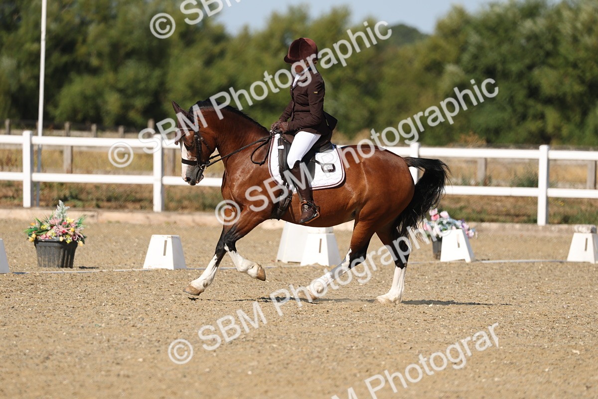 SBM_012798 - Class 1 - P5 Bronze 9.00.10.12