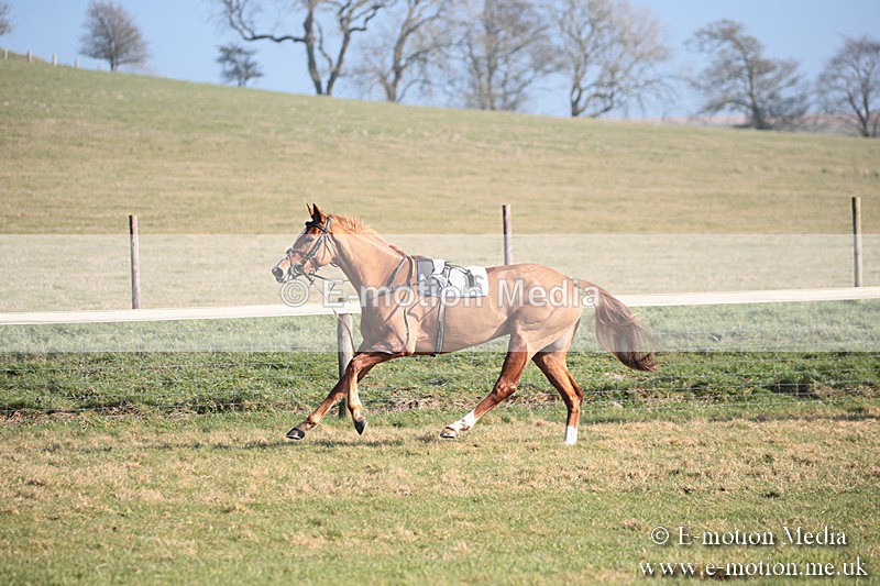 PtP 230219 164 - Vine & Craven Point-To-Point - Barbury 23/02/19