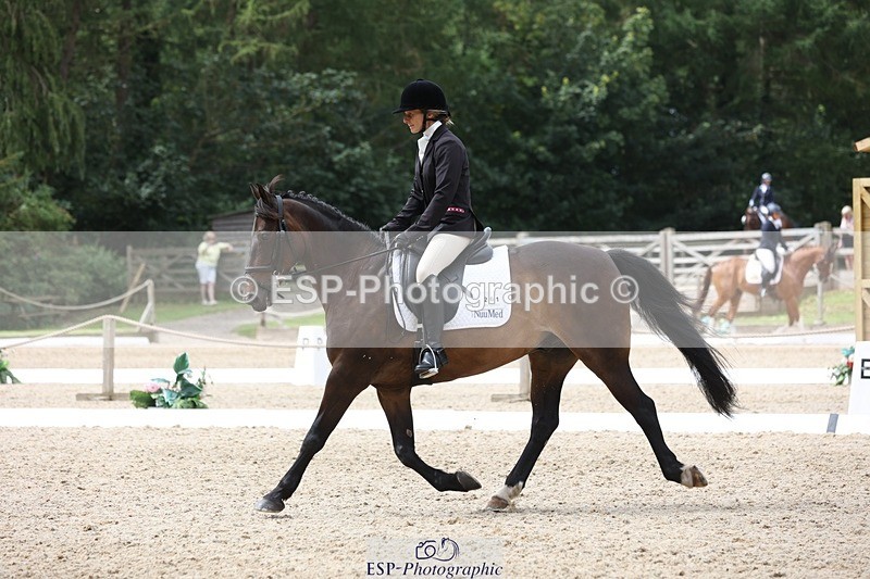 230812-122008-03987 - Cls 5 Novice Bronze 11.15 to 12.50 break