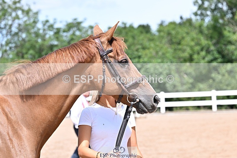 250716-124120-00110 - Trot Up 12.30 to 1.30