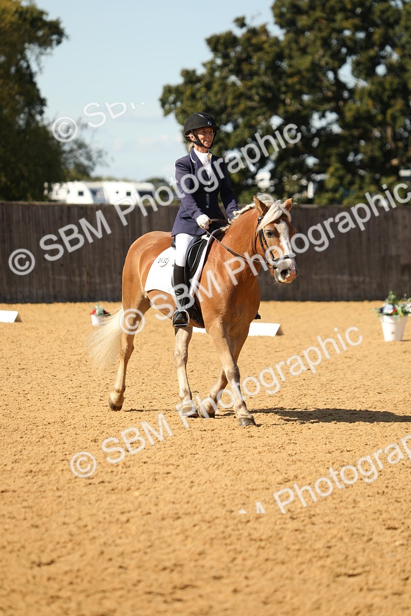 SBM_22411 - D17 - Grand Tour Championship - Novice 27