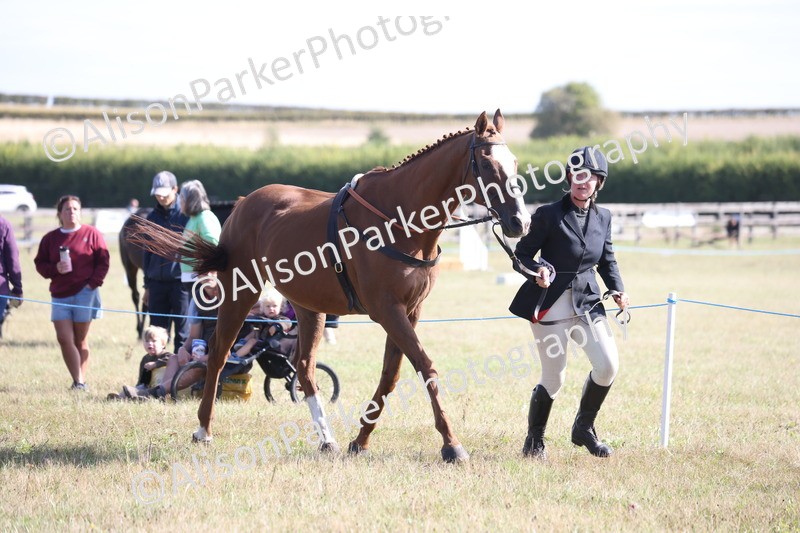 20260906-0711 - Class 22 - Ex Racehorse