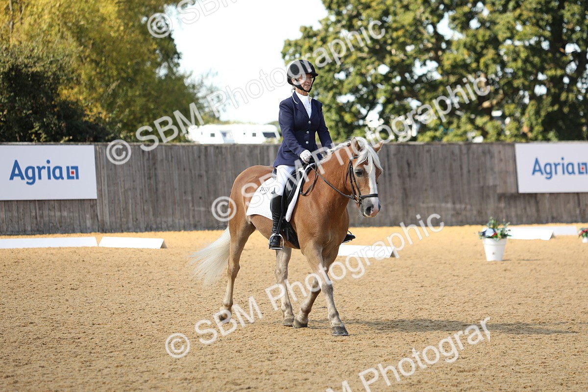 SBM_22375 - D17 - Grand Tour Championship - Novice 27