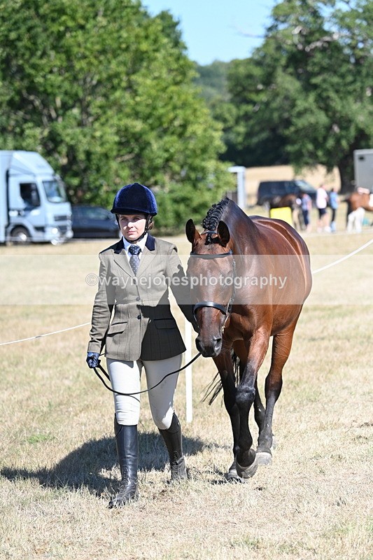 WJ7_1812 - Class 43 Best Six Legs (In hand)