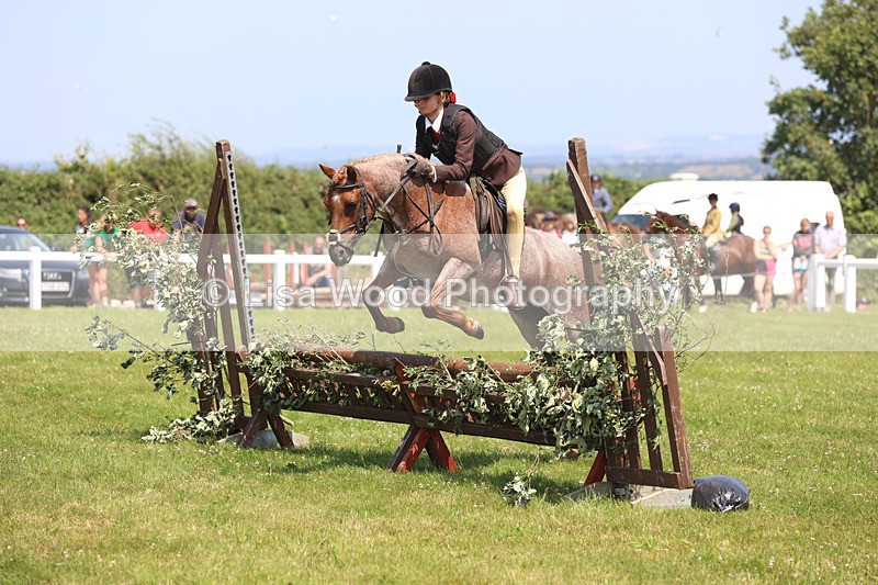 JPP_2964 - Class 22: Working Hunter 70cm