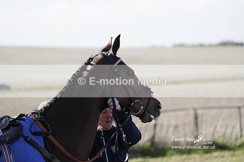 PtP 100423 1190 - Old Berkshire Point-to-Point Lockinge 10/04/23