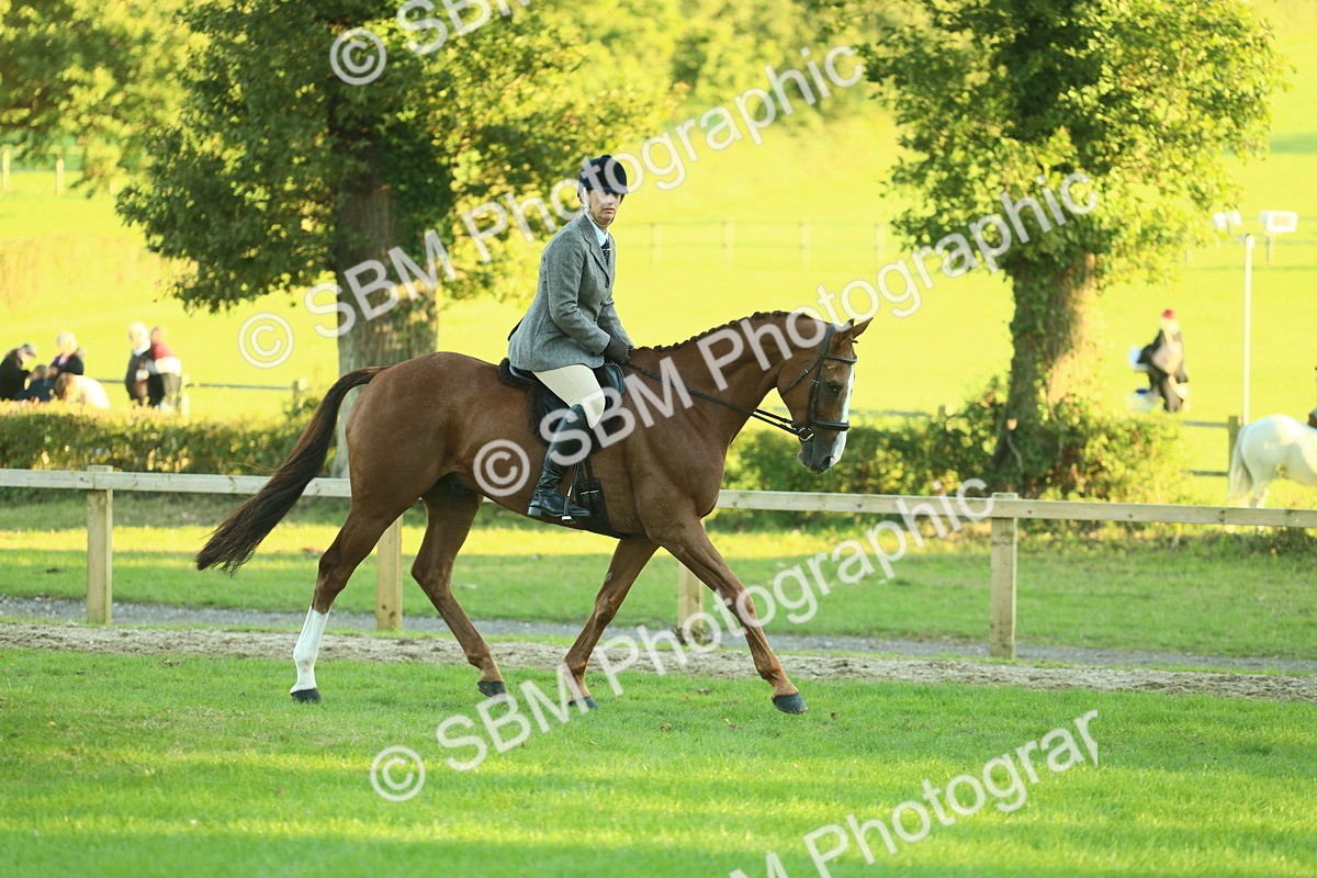 SBM_55649 - S14 - Riding Club Horse