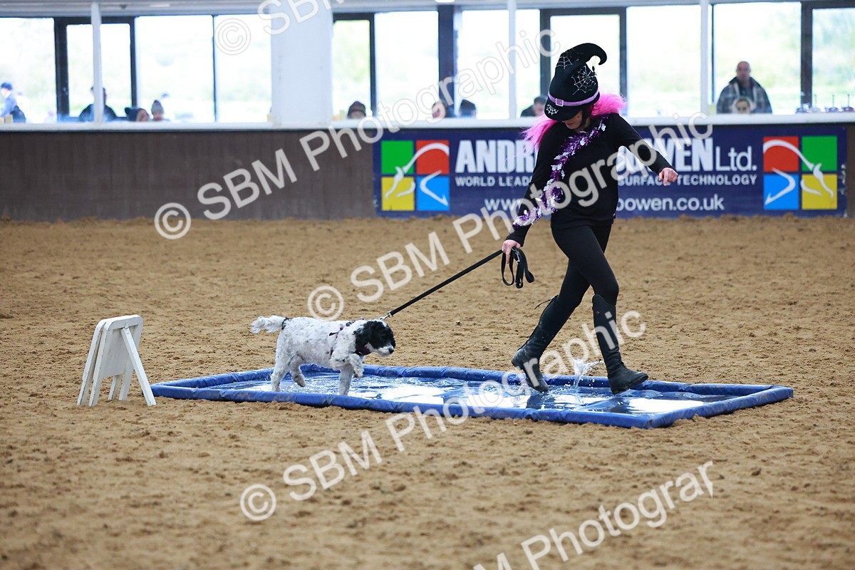 SBM_001576 - Class 3 - Horse & Hound (60cm)