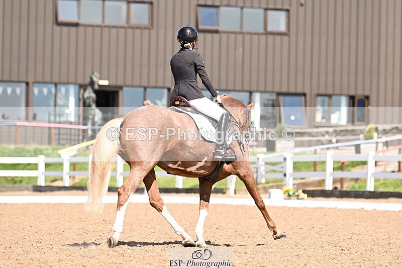 240816A-131715-05015 - 113-Ruby.Gumbley-Nova's.Golden.Dream