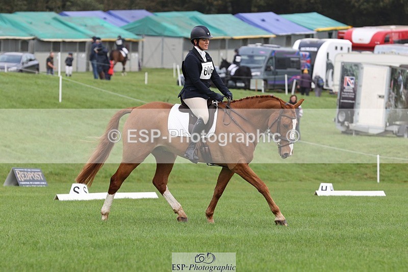 231019-104502-02421 - 606-GOLDEN.HEART.BREAKER-Emily.R.Vincent-DR