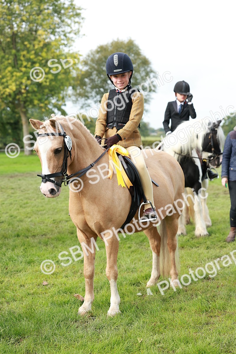 SBM_56476 - S39 - Starters In Hand Showing