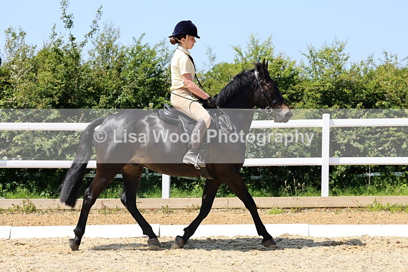 1X9A1693 - Class 11: Ridden Cob