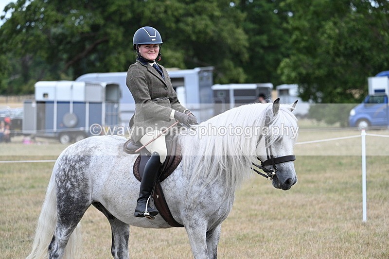 WJ7_5445 - Class 12 Ridden Cob