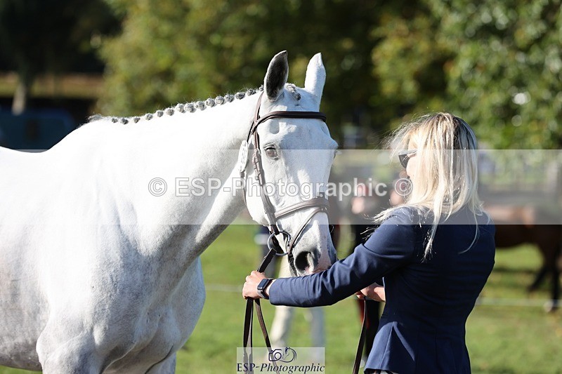 241027-102907-15917 - 593-Abbie.Burbidge-BLUEBIRD